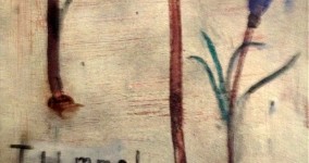 Little Fresco for Tummel, 2013